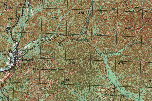 Уменьшенный фрагмент представленной топографической карты M-52-30 - Trasa.ru