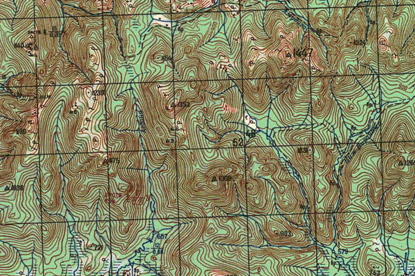 Уменьшенный фрагмент представленной топографической карты M-53-01 - Trasa.ru