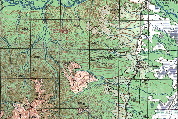 Уменьшенный фрагмент представленной топографической карты M-53-04 - Trasa.ru