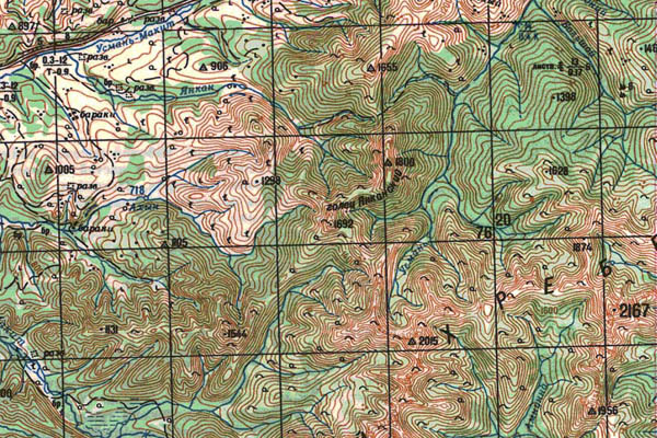 Уменьшенный фрагмент представленной топографической карты M-53-08 - Trasa.ru