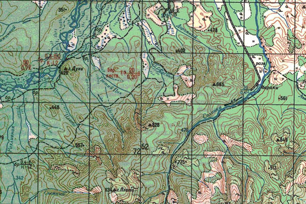 Уменьшенный фрагмент представленной топографической карты M-53-10 - Trasa.ru