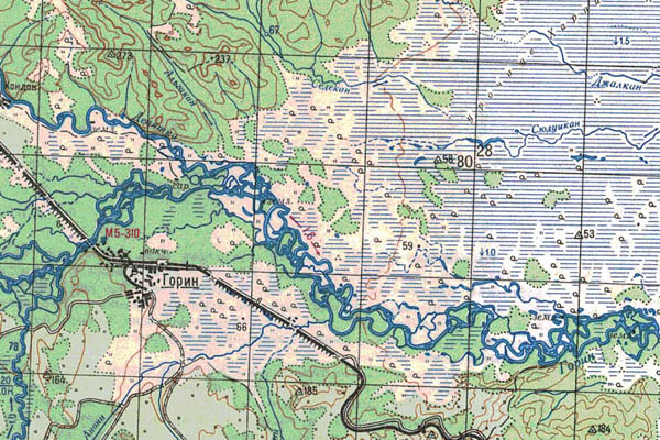 Уменьшенный фрагмент представленной топографической карты M-53-11 - Trasa.ru