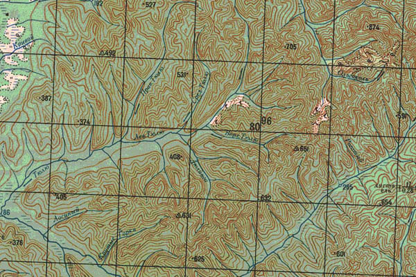 Уменьшенный фрагмент представленной топографической карты M-53-12 - Trasa.ru