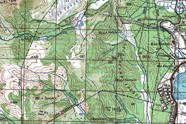 Уменьшенный фрагмент представленной топографической карты M-53-17 - Trasa.ru