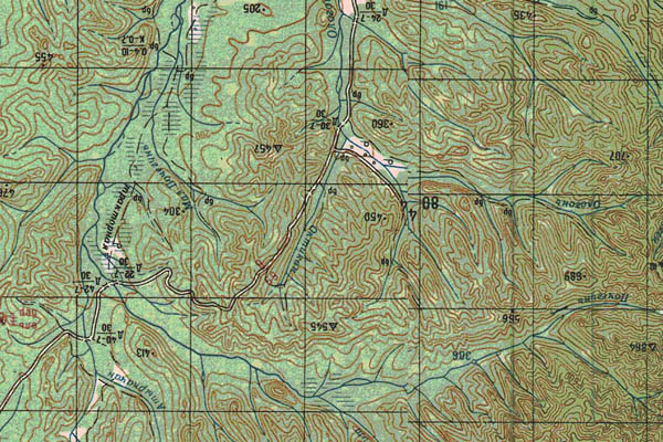 Уменьшенный фрагмент представленной топографической карты M-53-21 - Trasa.ru