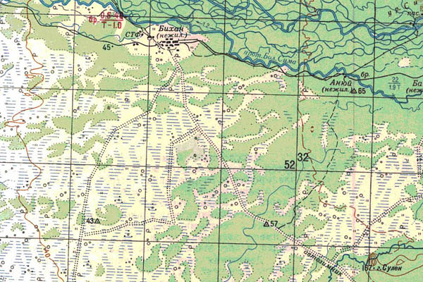 Уменьшенный фрагмент представленной топографической карты M-53-29 - Trasa.ru