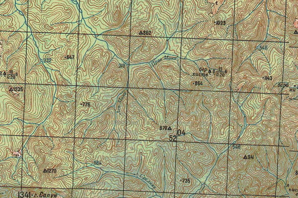 Уменьшенный фрагмент представленной топографической карты M-53-30 - Trasa.ru