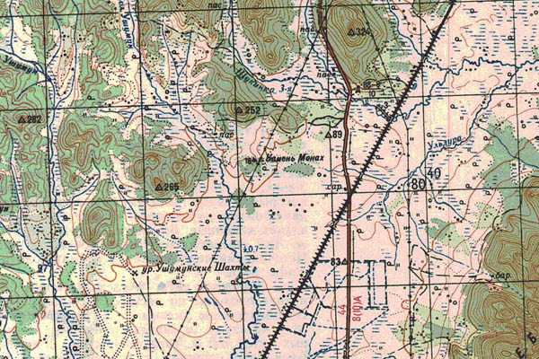 Уменьшенный фрагмент представленной топографической карты M-53-31 - Trasa.ru
