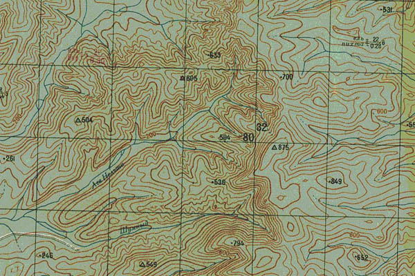 Уменьшенный фрагмент представленной топографической карты M-53-35 - Trasa.ru