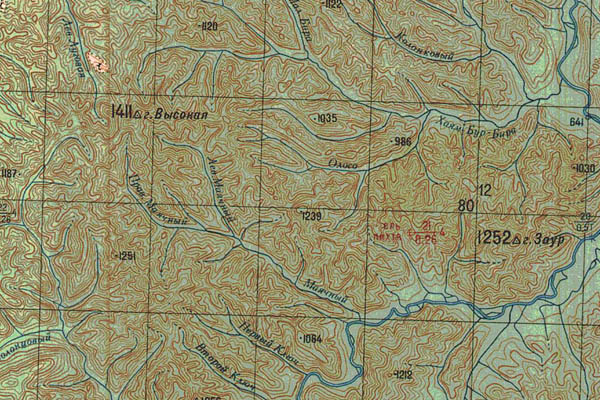 Уменьшенный фрагмент представленной топографической карты M-53-36 - Trasa.ru