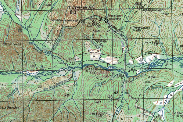 Уменьшенный фрагмент представленной топографической карты M-54-01 - Trasa.ru