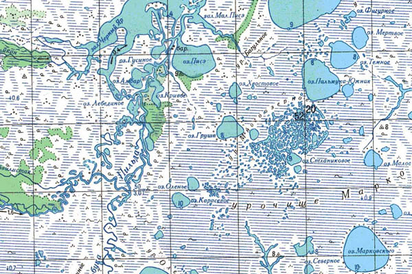 Уменьшенный фрагмент представленной топографической карты M-54-02 - Trasa.ru