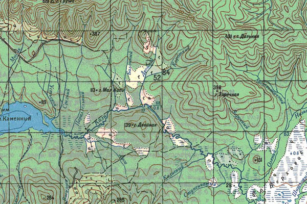 Уменьшенный фрагмент представленной топографической карты M-54-03 - Trasa.ru
