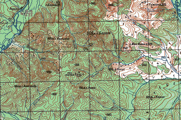 Уменьшенный фрагмент представленной топографической карты M-54-14 - Trasa.ru