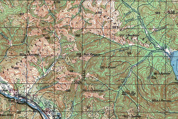 Уменьшенный фрагмент представленной топографической карты M-54-21 - Trasa.ru