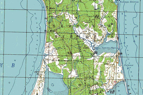 Уменьшенный фрагмент представленной топографической карты M-54-23 - Trasa.ru