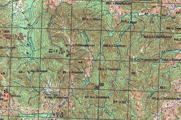 Уменьшенный фрагмент представленной топографической карты M-54-24 - Trasa.ru