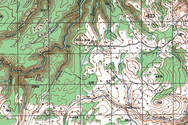 Уменьшенный фрагмент представленной топографической карты M-54-26 - Trasa.ru