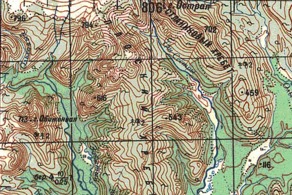 Уменьшенный фрагмент представленной топографической карты M-57-08 - Trasa.ru