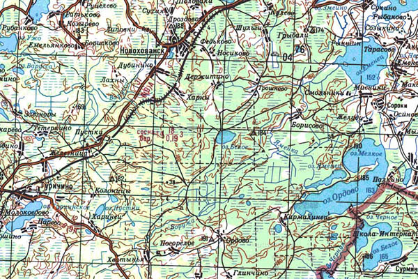 Уменьшенный фрагмент представленной топографической карты N-35-06 - Trasa.ru