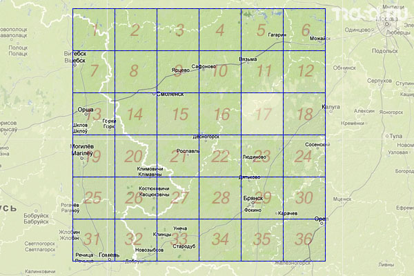 Набор топографических карт квадрата N-36 - Trasa.ru