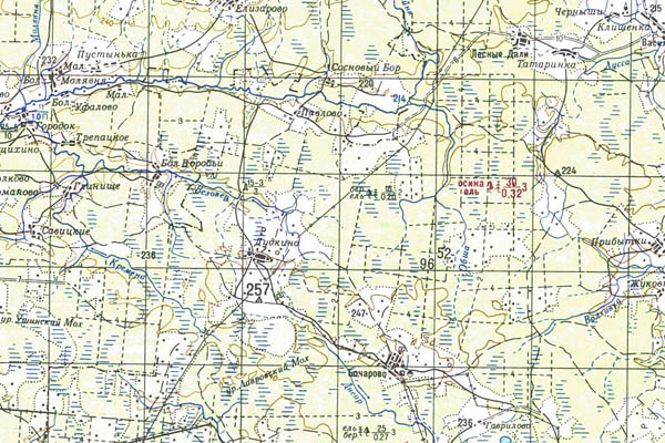 Уменьшенный фрагмент представленной топографической карты N-36-04 - Trasa.ru