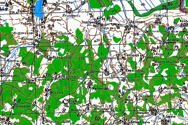 Уменьшенный фрагмент представленной топографической карты N-36-07 - Trasa.ru