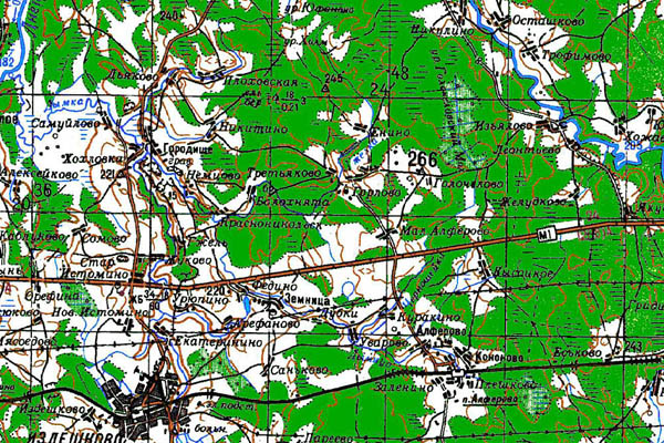 Уменьшенный фрагмент представленной топографической карты N-36-10 - Trasa.ru