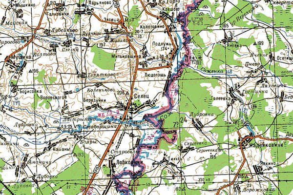 Уменьшенный фрагмент представленной топографической карты N-36-20 - Trasa.ru