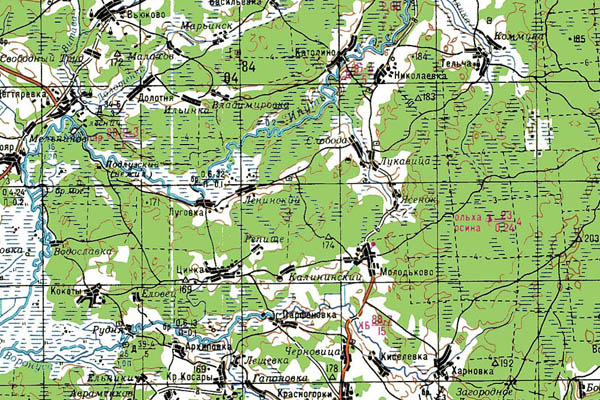 Уменьшенный фрагмент представленной топографической карты N-36-27 - Trasa.ru