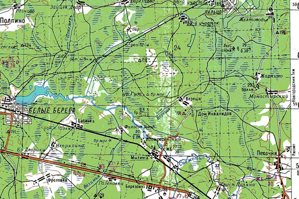 Уменьшенный фрагмент представленной топографической карты N-36-29 - Trasa.ru