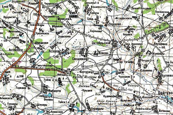 Уменьшенный фрагмент представленной топографической карты N-38-06 - Trasa.ru