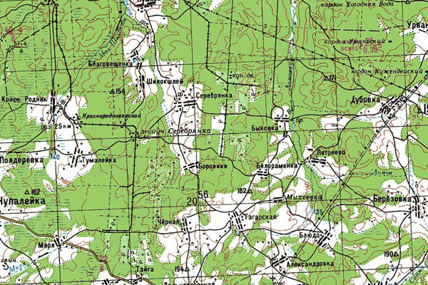 Уменьшенный фрагмент представленной топографической карты N-38-07 - Trasa.ru