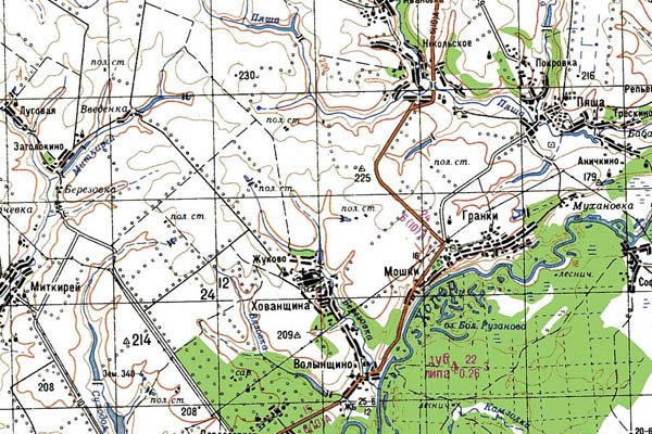 Уменьшенный фрагмент представленной топографической карты N-38-32 - Trasa.ru