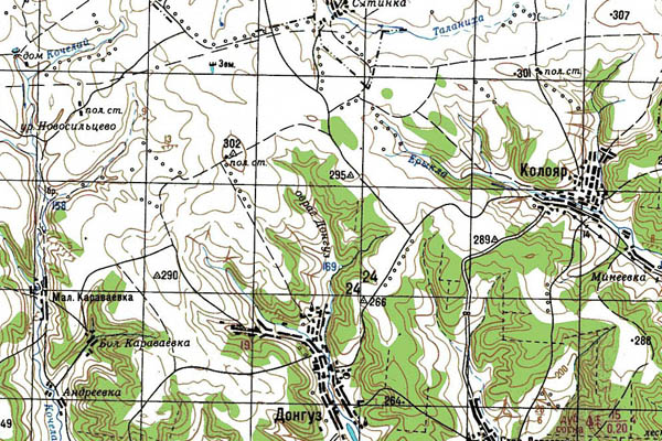 Уменьшенный фрагмент представленной топографической карты N-38-35 - Trasa.ru