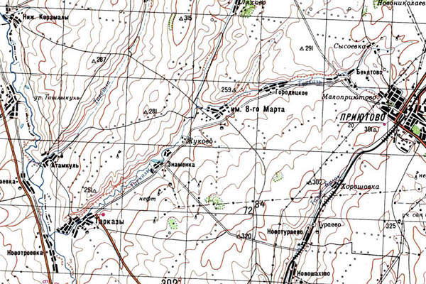 Уменьшенный фрагмент представленной топографической карты N-39-24 - Trasa.ru