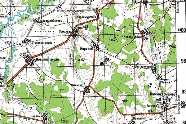Уменьшенный фрагмент представленной топографической карты N-40-02 - Trasa.ru