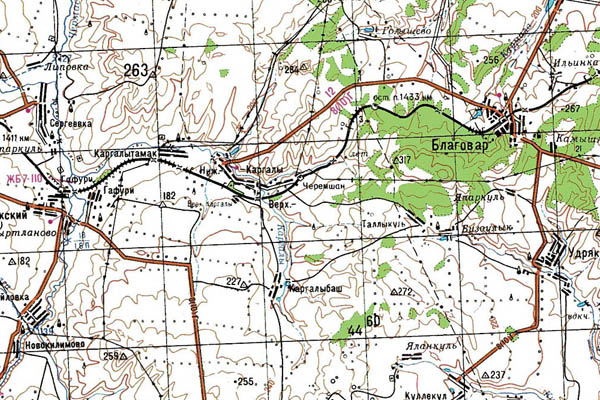Уменьшенный фрагмент представленной топографической карты N-40-13 - Trasa.ru