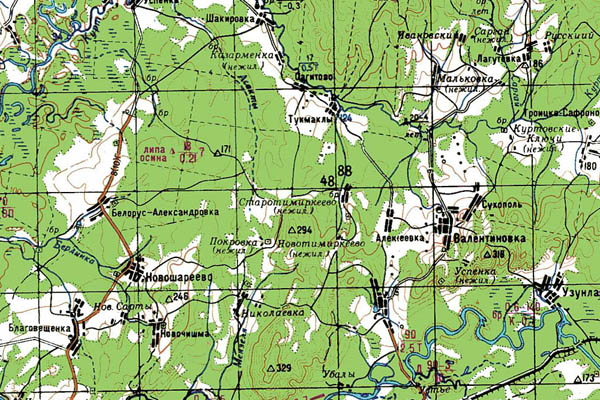 Уменьшенный фрагмент представленной топографической карты N-40-15 - Trasa.ru