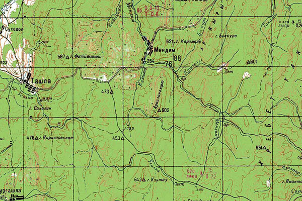 Уменьшенный фрагмент представленной топографической карты N-40-21 - Trasa.ru