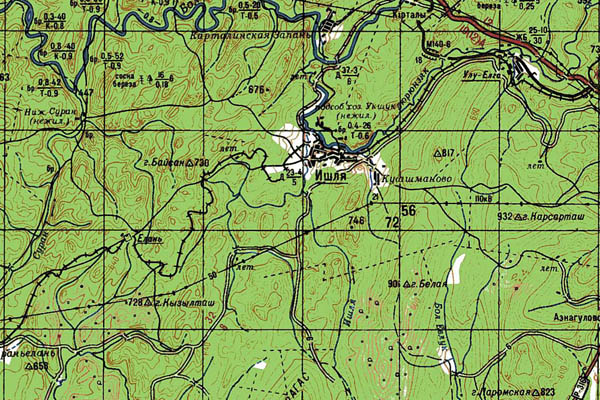 Уменьшенный фрагмент представленной топографической карты N-40-22 - Trasa.ru