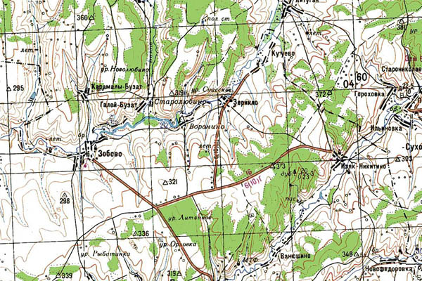 Уменьшенный фрагмент представленной топографической карты N-40-25 - Trasa.ru
