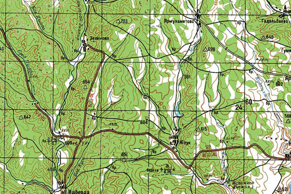Уменьшенный фрагмент представленной топографической карты N-40-34 - Trasa.ru