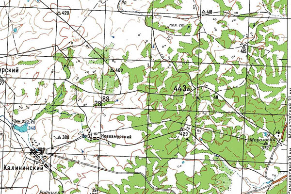 Уменьшенный фрагмент представленной топографической карты N-40-36 - Trasa.ru