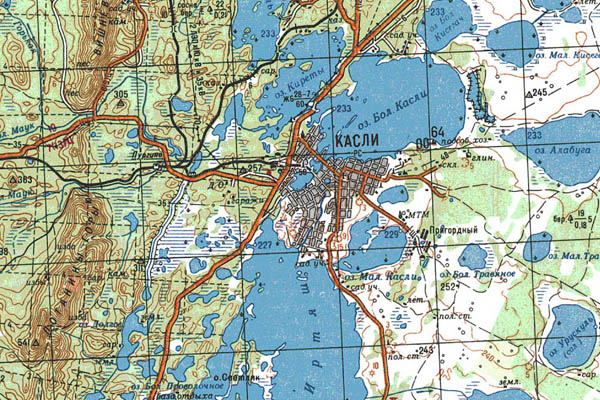 Уменьшенный фрагмент представленной топографической карты N-41-01 - Trasa.ru