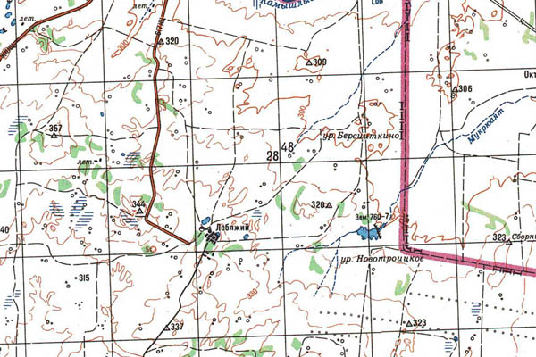 Уменьшенный фрагмент представленной топографической карты N-41-31 - Trasa.ru