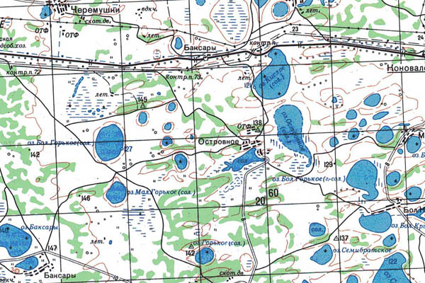 Уменьшенный фрагмент представленной топографической карты N-42-07 - Trasa.ru