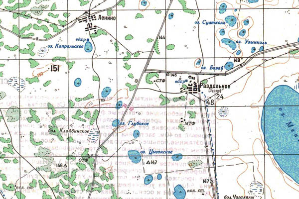 Уменьшенный фрагмент представленной топографической карты N-42-14 - Trasa.ru