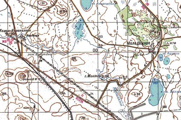 Уменьшенный фрагмент представленной топографической карты N-42-28 - Trasa.ru