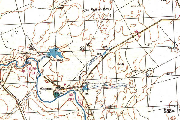 Уменьшенный фрагмент представленной топографической карты N-42-31 - Trasa.ru